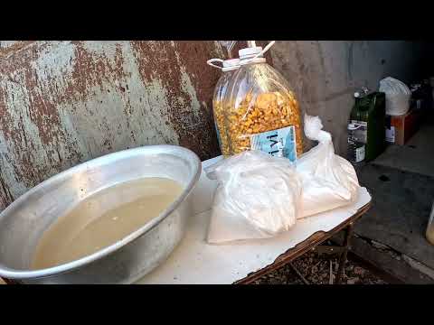 Видео: Подготовка к процессу брожения.Рецепт ферментированной кукурузы