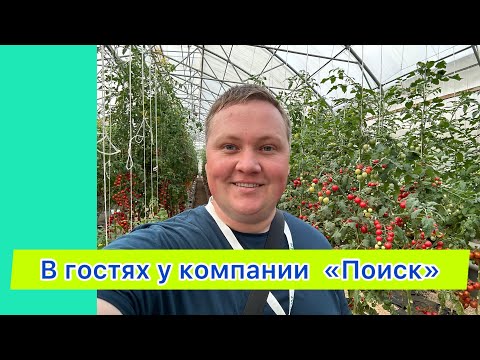 Видео: Супер томаты! Обзор, сложно сделать выбор!😍👍
