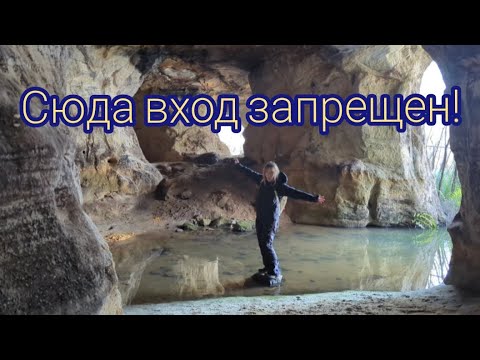Видео: Видео не удалось. Опасное приключение в Австралийском лесу! #австралия #деревенскаяжизнь #пещера 