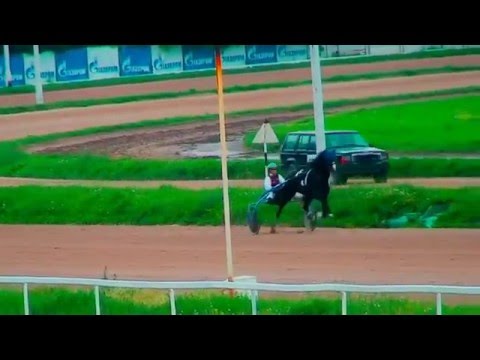Видео: ЦМИ.Ипподром.Приз Барса.Часть 23.Сезон 2015