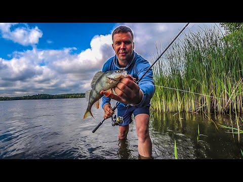 Видео: ЛОВЛЯ ОКУНЯ на отводной! Быстрый способ ДЖИГ🔁🔁🔁ОТВОДНОЙ