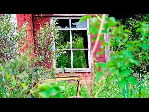 Видео: VLOG: ЖУТКОЕ МЕСТО