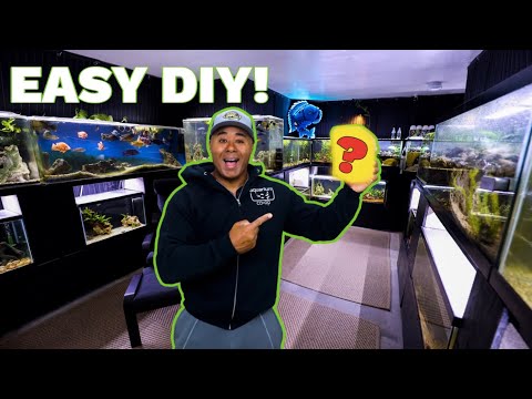 Видео: Самый простой и дешевый способ акклиматизации аквариумных рыбок!