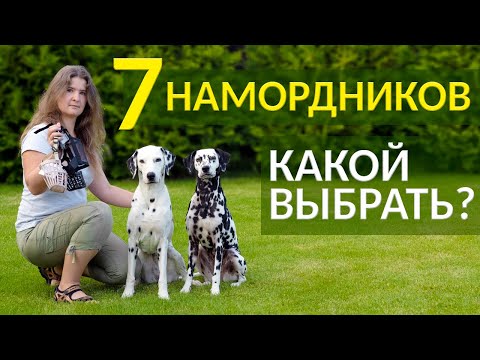 Видео: Намордники для собак: Trixie, Baskerville, Triol, Гамма, Зооник и Halti