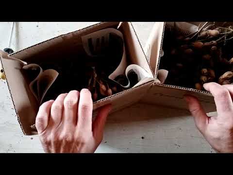 Видео: 29.11.2024 г. Кто сохранил старые сорта табака?