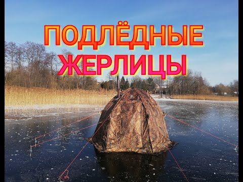 Видео: РЫБАЛКА НА ЩУКУ С ПОДЛЁДНЫМИ ЖЕРЛИЦАМИ