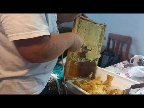 Видео: Добуваємо мед за допомогою електроножа Гуслія.