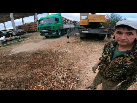 Видео: как заработать.Купил фуру березы на продажу.Чё по чём?