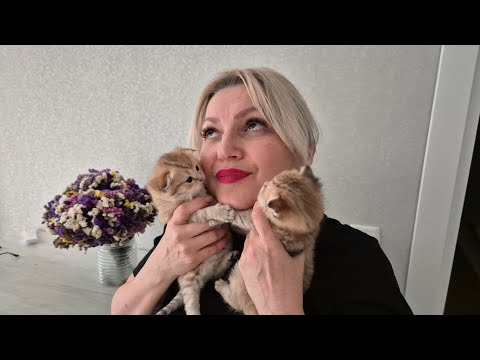 Видео: Целуем котят 😊