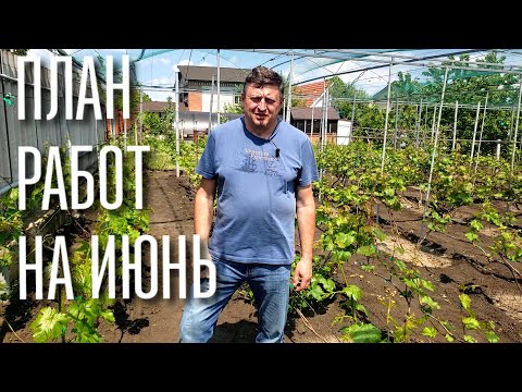 Видео: ПЛАН РАБОТ НА ИЮНЬ МЕСЯЦ. ВСЕ ОЧЕНЬ ВАЖНО - СМОТРИТЕ ДО КОНЦА