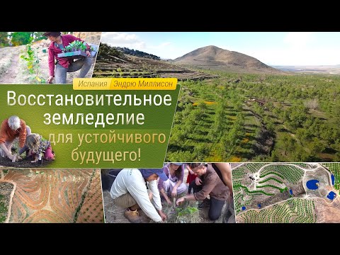 Видео: Восстановительное земледелие для устойчивого будущего!