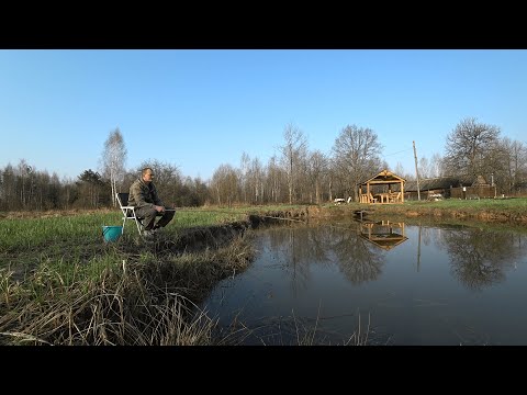Видео: КУПИЛ ХУТОР в ЛЕСУ на КРАЮ БОЛОТА. Часть 115. РЕЗУЛЬТАТ МЕНЯ ПОРАЗИЛ.