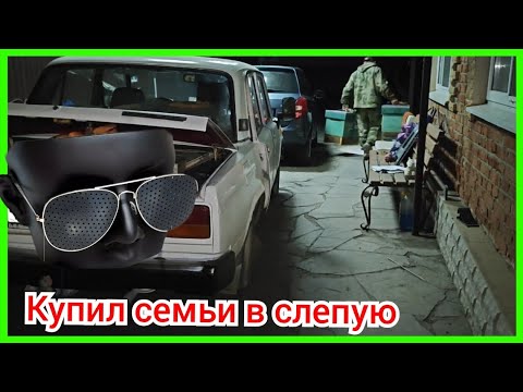 Видео: Купил пчелосемьи не глядя..