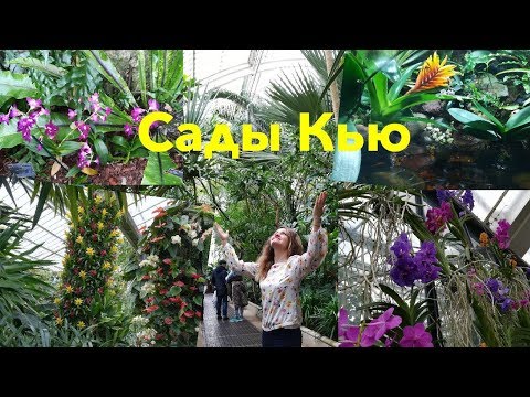 Видео: Куда пойти в Лондоне. Королевский ботанический сад Kew Gardens.