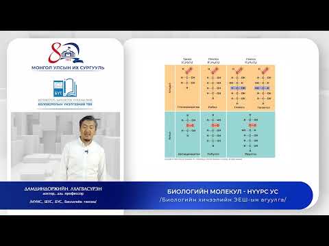Видео: Биологи №3