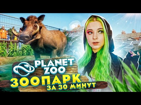Видео: ЗООПАРК С НУЛЯ за 30 МИНУТ ►💚МОЙ ЗООПАРК ► Planet Zoo