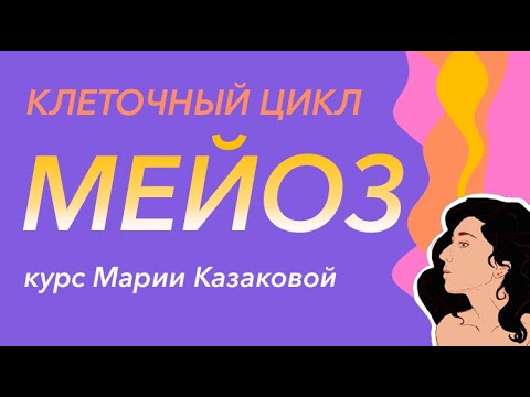 Видео: Урок "Мейоз" - ЦТ, ЕГЭ, ЗНО