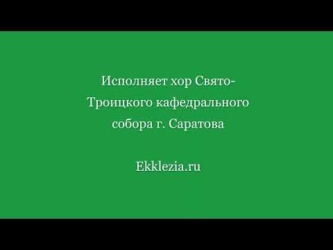 Видео: Во Царствии Твоем. Саровского напева