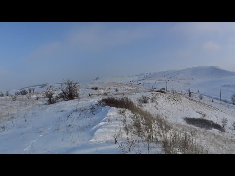 Видео: По следам хитрого зайца