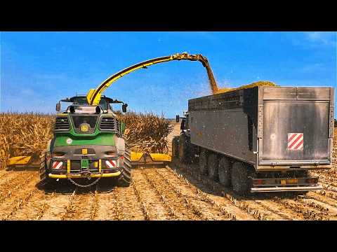 Видео: Урожай кукурузы 2024 JOHN DEERE 9900i 490 PLUS 12 рядов