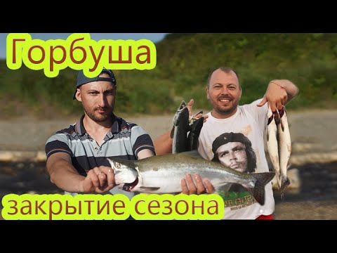 Видео: Супер рыбалка с Ярославом Сумишевским | Клюёт с первого заброса | Ловим горбушу
