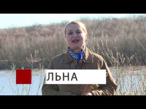 Видео: Соседи 300320 Тихая Пильна