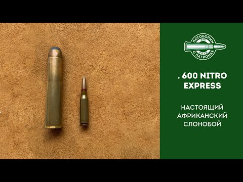 Видео: 600 NitroExpress. Настоящий африканский слонобой