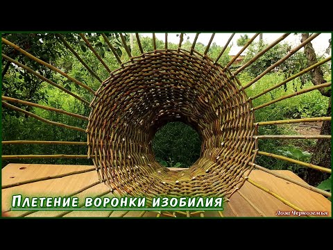 Видео: Свежесрезанные летние прутья ивы можно сплести в ВОРОНКУ ИЗОБИЛИЯ