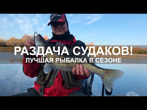 Видео: 💥ЛУЧШАЯ РЫБАЛКА в сезоне!💥Попали на раздачу СУДАКА, и ЩУКУ не забыли 😀 Рыбалка 2020. Осень, октябрь.