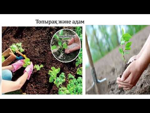 Видео: 3 сынып жаратылыстану Қандай топырақ құнарлы? 3 тоқсан  №4 сабақ