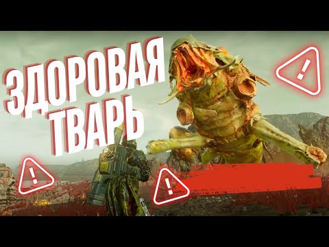 Видео: ЗДОРОВАЯ ТВАРЬ  В  HELLDIVERS 2