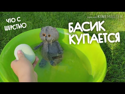 Видео: БАСИК КУПАЕТСЯ|что с шерстью?|Как помыть Басика?|Basik TV