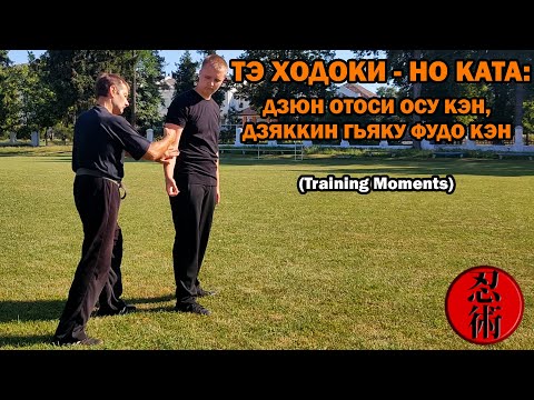 Видео: Тренировочные моменты №84 - ТЭ ХОДОКИ - НО КАТА: ДЗЮН ОТОСИ ОСУ КЭН, ДЗЯККИН ГЬЯКУ ФУДО КЭН