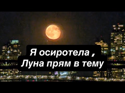 Видео: Я осиротела, Луна 🌓 прямо в тему 