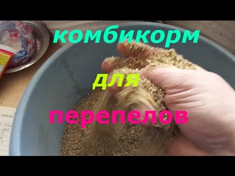 Видео: рецепт комбикорма для перепелов от 3-х недель