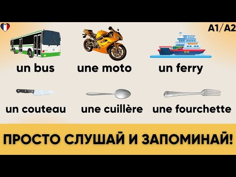 Видео: Урок 1 | Видео-словарь | Слушай и запоминай | Французский на слух 🇫🇷