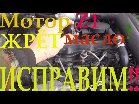 Видео: Volkswagen B4 - Z1,одна из причин пожирания масла мотором!!!