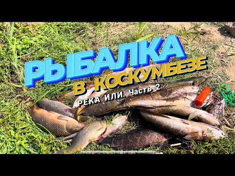 Видео: Рыбалка в Коскумбезе. 4-7 августа 2022. Часть 2