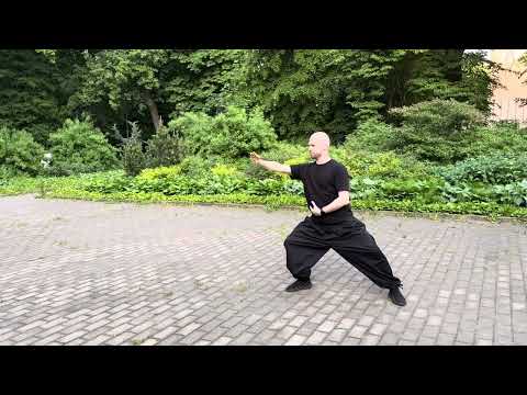Видео: Малая форма хуньюань тайцзи, Антон Антонов, 29.05.25