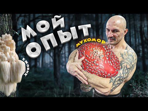 Видео: МУХОМОР И ЕЖОВИК - КАКОЙ ЭФФЕКТ ЗА 3 ГОДА?