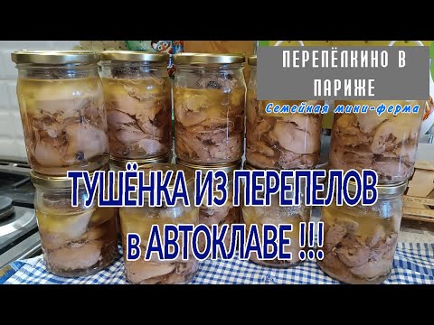 Видео: ТУШЕНКА ИЗ ПЕРЕПЕЛОВ