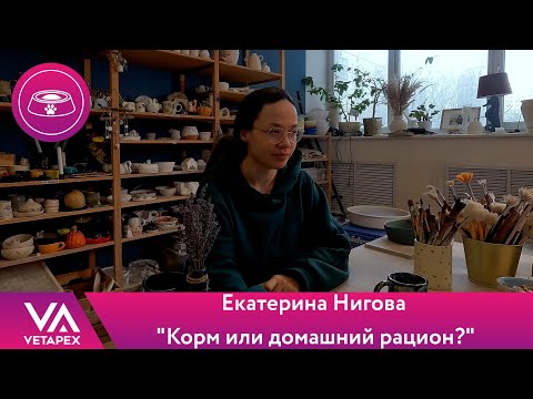 Видео: Кафедра Диетологии. Екатерина Нигова - "Корм или домашний рацион?"