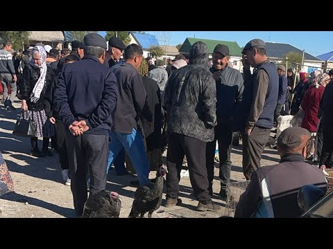 Видео: 5-ОКТЯБР/2025/ШЫМБАЙ ТАУЫК БАЗАРЫ/ДЕМ БЕРМЕС
