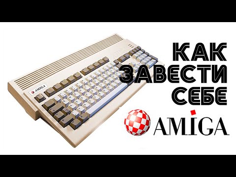 Видео: Как завести себе AMIGA