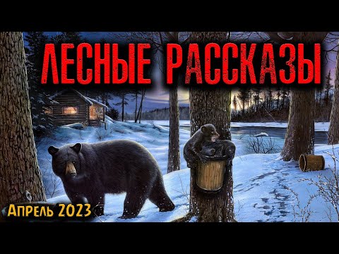 Видео: ЛЕСНЫЕ РАССКАЗЫ | Страшные истории