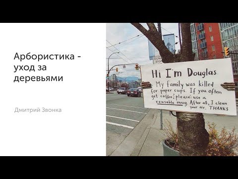 Видео: "Арбористика   уход за деревьями" Дмитрий Звонка