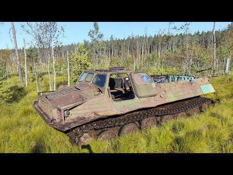 Видео: ГТ-Т 1963 года шарашит по болоту/ Похоже мы перестарались с настройками