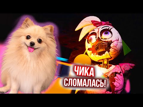 Видео: ПОБЕДИЛА ЧИКУ | СЛОМАЛА КЛЮВ | Five Nights at Freddy's Security Breach #17