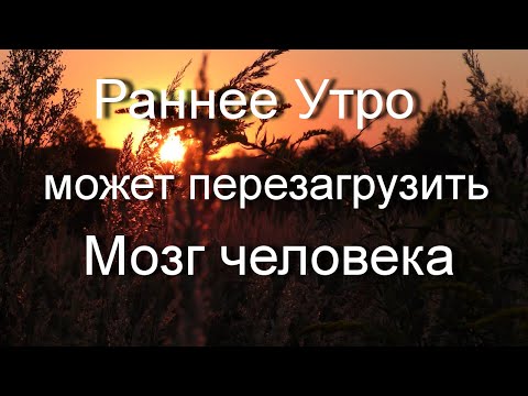 Видео: Релаксация на мозг человека. Природные стимулы мозга в раннее утро. Это путь к успеху и здоровью