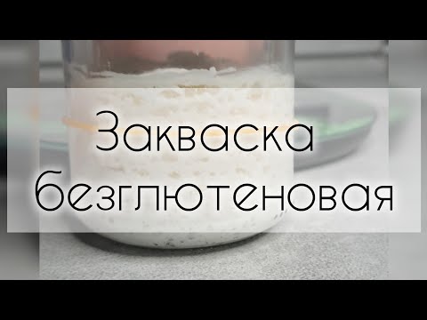 Видео: Вывожу закваску рисовую без глютена #закваскабезглютена #безглютена #glutenfree 